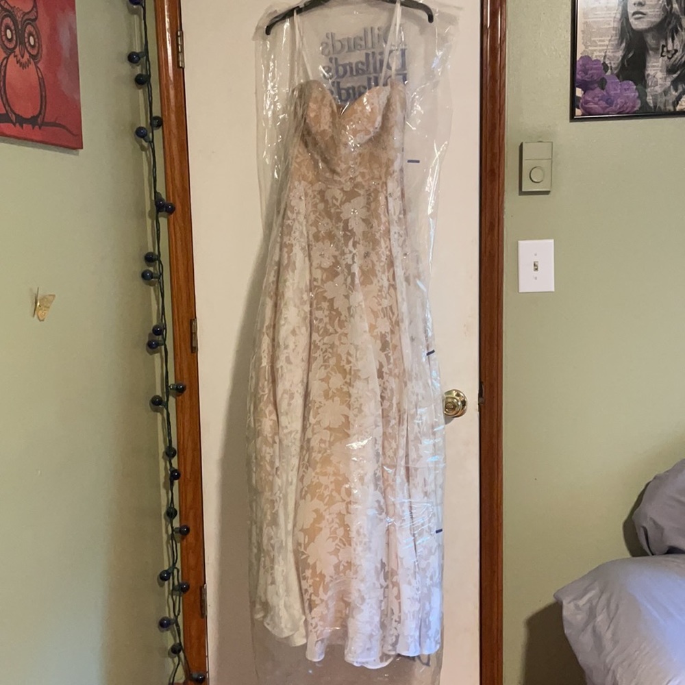 Blush Pink Terani